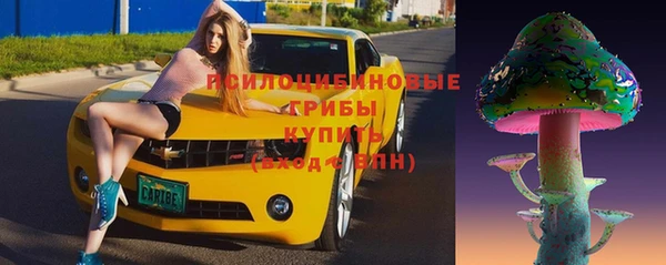 первитин Медвежьегорск