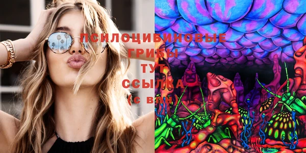 первитин Медвежьегорск
