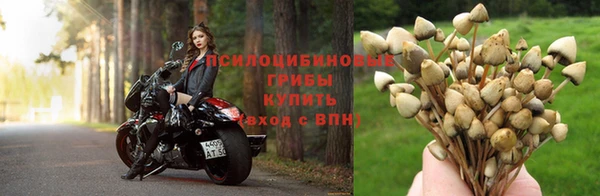 первитин Медногорск