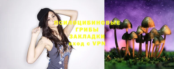 первитин Мегион