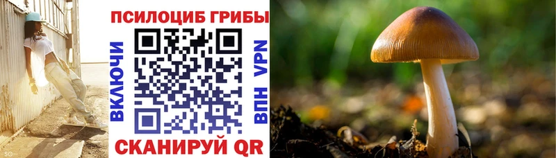 Купить закладки  Харабали  Псилоцибиновые грибы MAGIC MUSHROOMS 